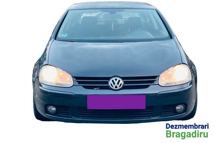 Broasca usa stanga Volkswagen VW Golf 5 