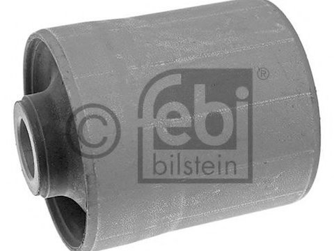 Bucsa bascula / brat HYUNDAI H-1 platou / sasiu (2000 - 2005) Febi Bilstein 41542