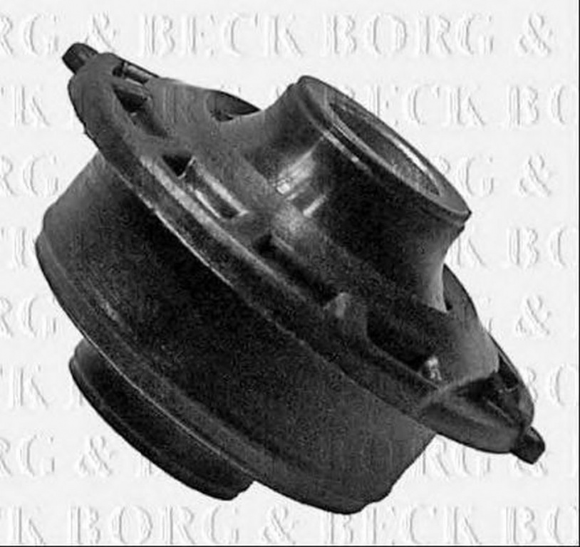 Bucsa brat CITROEN C3 Pluriel HB BORG & BECK BSK6404