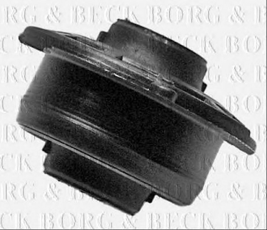 Bucsa brat CITROEN C3 Pluriel HB BORG & BECK BSK6405