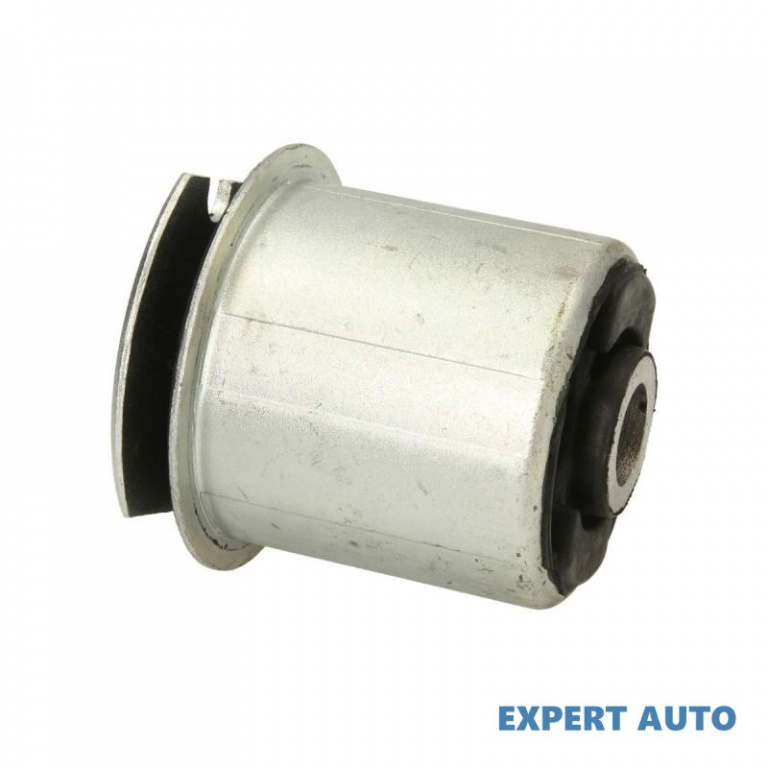 Bucsa brat punte spate Renault MEGANE II limuzina (LM0/1_) 2003-2016 #2 18909