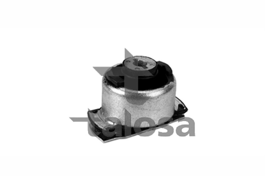 Bucsa punte spate RENAULT LAGUNA II BG0 1 TALOSA 6202257