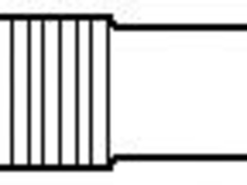 Bujie incandescenta AUDI 90 (8C, B4), AUDI 80 Avant (8C, B4), AUDI 500 (44, 44Q, C3) - TOPRAN 107 119