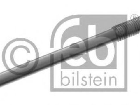 Bujie incandescenta MITSUBISHI OUTLANDER III Van (GF_W, GG_W) (2013 - 2016) Febi Bilstein 47512