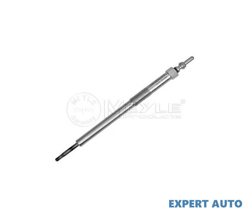 Bujie incandescenta Renault MEGANE II (BM0/1_, CM0/1_) 2002-2011 #2 0250603001