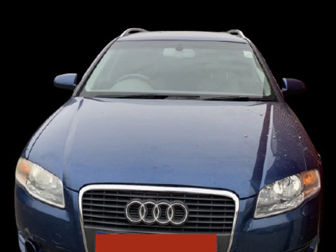 Bumb fata usa Audi A4 B7 [2004 - 2008] Avant wagon 5-usi 2.0 multitronic (131 hp) 2.0 - ALT