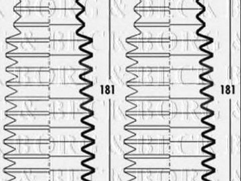 Burduf bieleta directie BMW 3 cupe E46 BORG & BECK BSG3276