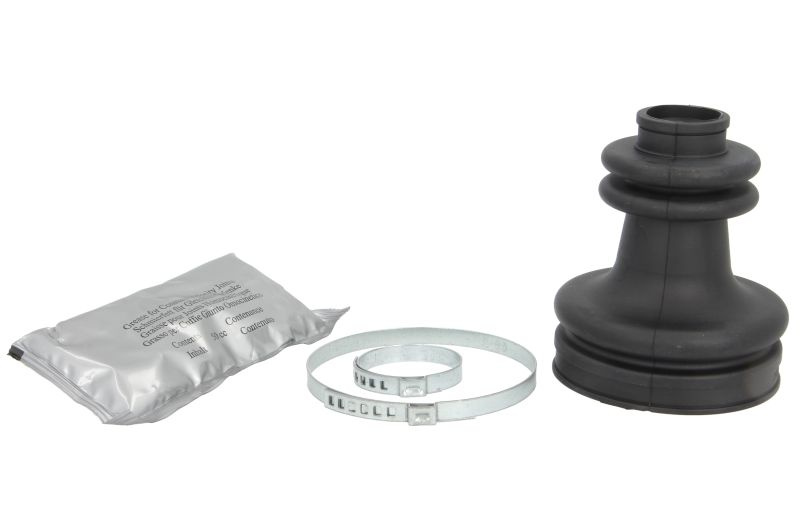 Burduf planetara RENAULT MEGANE Scenic (JA0/1_) PASCAL G6X006PC