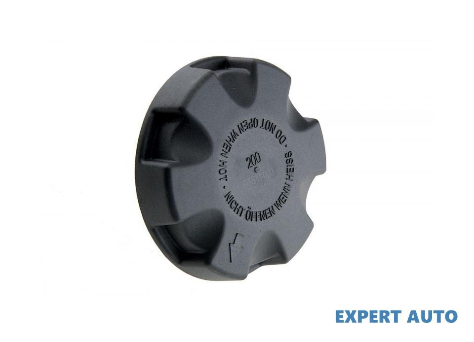 Buson expansiune BMW X3 (2004->) [E83] #1 17137516004