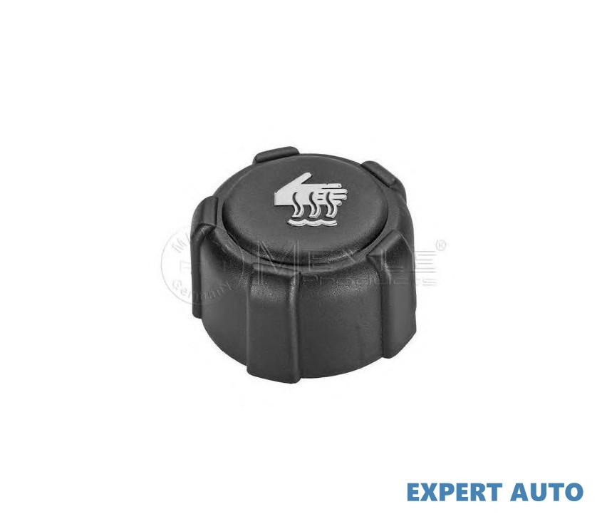 Buson expansiune Dacia DUSTER 2010-2016 #2 03563