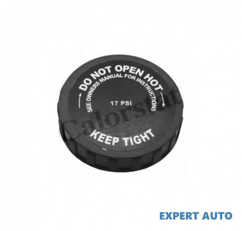 Buson expansiune Jeep COMPASS (MK49) 2006-2016 #8 04592098