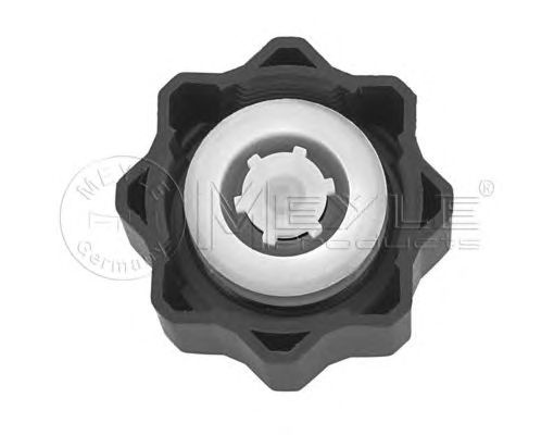 Buson pentru radiator CITROEN C3 Pluriel (HB_) - Cod intern: W20110438 - LIVRARE DIN STOC in 24 ore!!!
