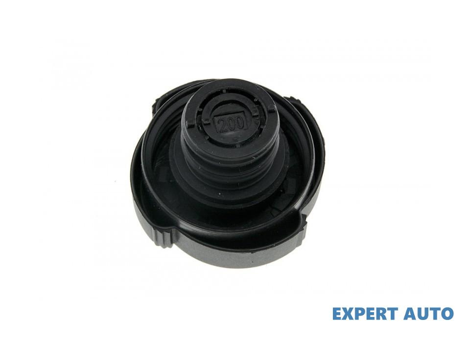 Buson radiator BMW X3 (2010->) [F25] #1 