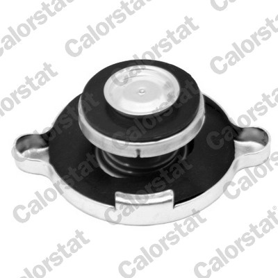 buson,radiator CALORSTAT by Vernet RC005
