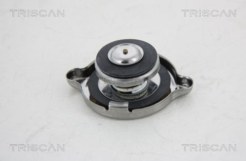 Buson,radiator TRISCAN 8610 2