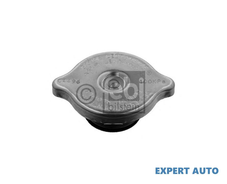 Buson radiator Volkswagen VW LT28-50 platou / sasiu (281-363) 1975-1996 #8 03901400A
