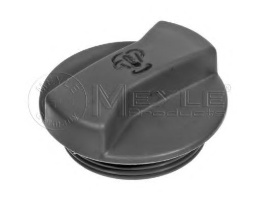 Buson,vas expansiune AUDI A4 Cabriolet (8H7, B6, 8HE, B7) (2002 - 2009) MEYLE 100 121 0049