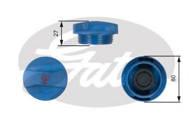 Buson,vas expansiune AUDI A6 Allroad (4FH, C6) (20
