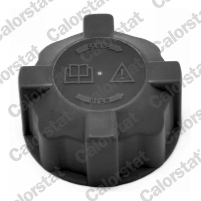 Buson vas expansiune Calorstat by Vernet FIAT DOBLO bus (263_) 2010-2023 - RC0019