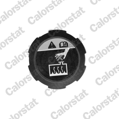 Buson vas expansiune Calorstat by Vernet GENESIS GV80 SUV (JX1) 2020-2025 - RC0200