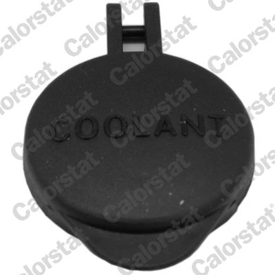 Buson vas expansiune Calorstat by Vernet HYUNDAI CRETA 2016-2021 - RC0201