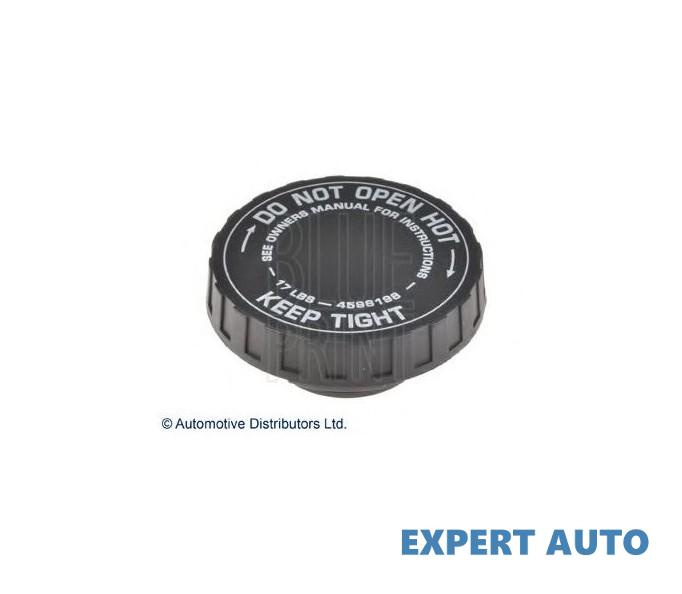 Buson vas expansiune Chrysler PT CRUISER (PT_) 2000-2010 #8 04596198