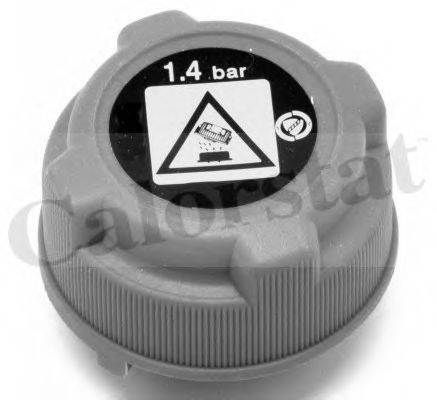 Buson,vas expansiune FIAT BRAVO II (198) (2006 - 2