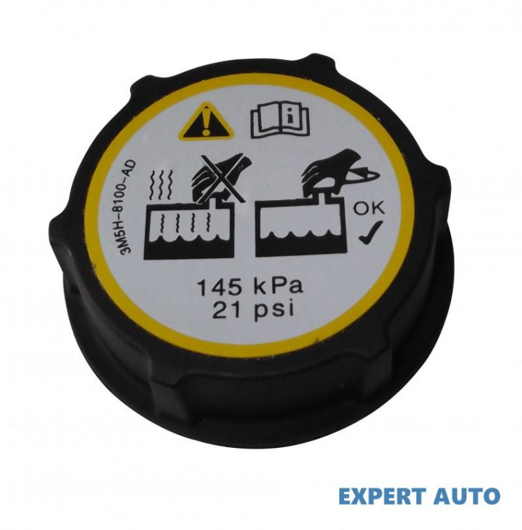 Buson vas expansiune Ford FOCUS C-MAX 2003-2007 #3