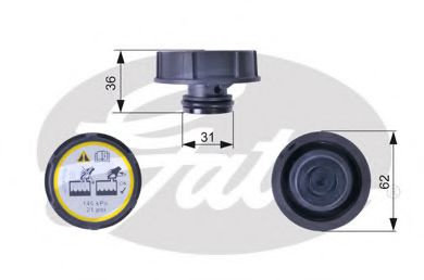 Buson,vas expansiune FORD FOCUS C-MAX (2003 - 2007