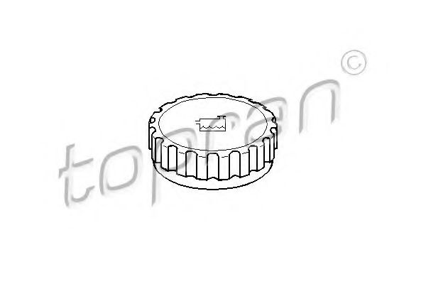 Buson,vas expansiune FORD FOCUS limuzina (DFW) (19