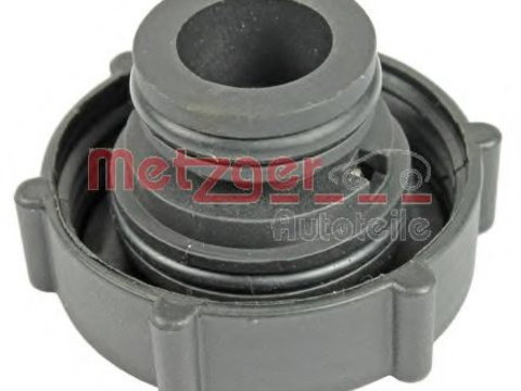 Buson,vas expansiune FORD MONDEO III (B5Y) (2000 - 2007) METZGER 2140112 piesa NOUA