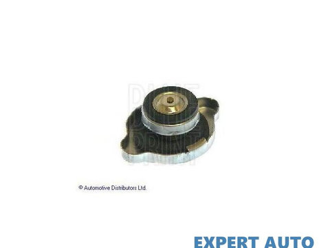 Buson vas expansiune Hyundai TRAJET (FO) 2000-2008 #2 00339