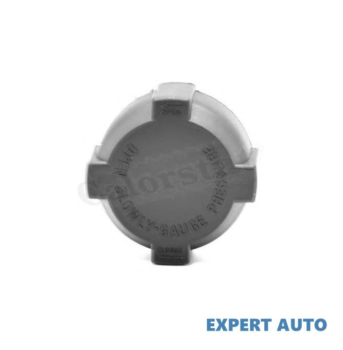 Buson vas expansiune Land Rover DISCOVERY Mk II (LJ, LT) 1998-2004 #8 CC3027
