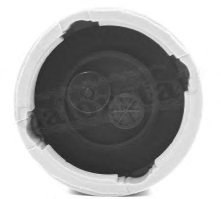 Buson vas expansiune MAZDA 2 (DY) - Cod intern: W20002697 - LIVRARE DIN STOC in 24 ore!!!