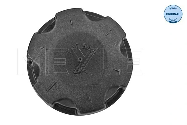 Buson vas expansiune Meyle BMW 5 Touring (F11) 2010-2017 - 314 238 0004