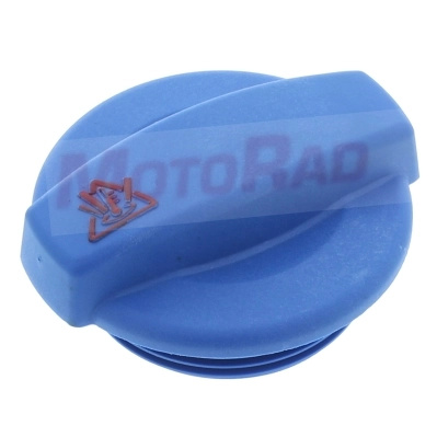 Buson vas expansiune Motorad AUDI A8 D3 (4E2, 4E8) 2002-2010 - T91