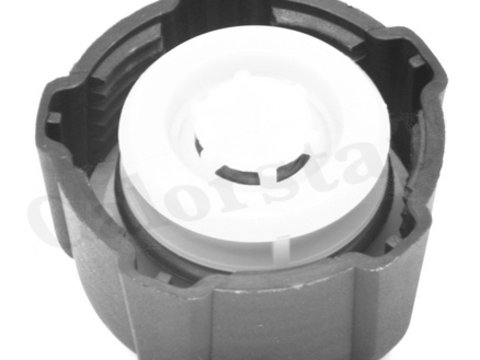 Buson vas expansiune RC0016 CALORSTAT BY VERNET pentru Renault Megane Renault Gran Renault 19 Renault Clio Renault Kangoo Renault Trafic Nissan Primera Renault Fluence Renault Modus Renault Twingo Dacia Duster Renault Laguna Renault Safrane Renault S