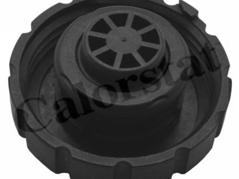 Buson vas expansiune RC0160 CALORSTAT BY VERNET pentru Mercedes-benz Sl Mercedes-benz S-class Mercedes-benz Cl-class Mercedes-benz C-class Mercedes-benz Cls Mercedes-benz G-class Mercedes-benz E-class Mercedes-benz R-class Mercedes-benz M-class