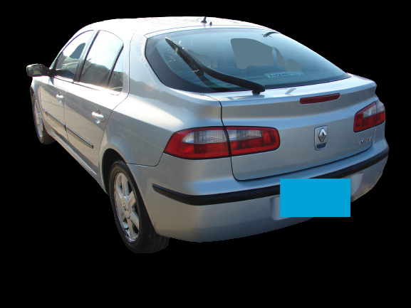 Buson vas expansiune Renault Laguna 2 [2