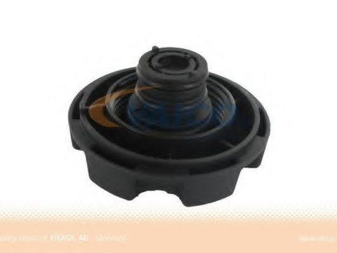 Buson vas expansiune V20-2058 VAICO pentru Bmw X5 Bmw X6 Bmw Seria 6 Bmw Seria 5 Bmw Seria 3 Bmw Seria 7 Bmw Seria 4