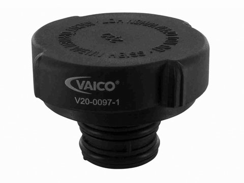 Buson,vas expansiune VAICO V20-0097-1