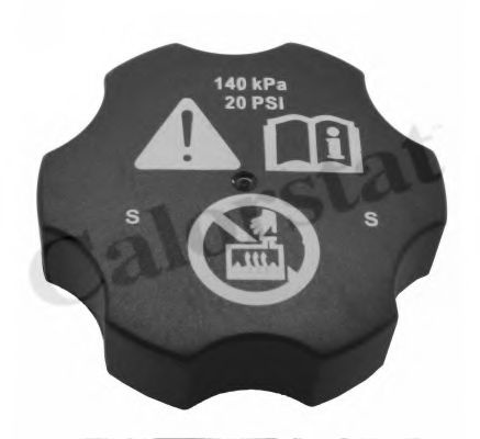 Buson vas expensiune antigel OPEL ZAFIRA TOURER C (P12) (2011 - 2016) CALORSTAT by Vernet RC0144