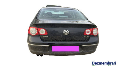 Buson vas lichid frana Volkswagen VW Pas