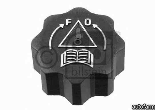 Buson vas lichid racire expansiune FIAT ULYSSE (22