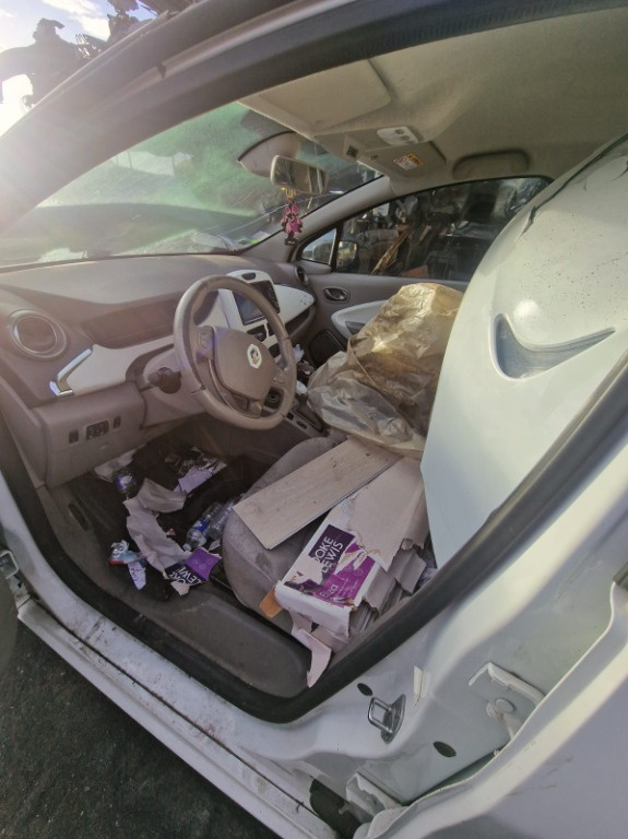 Butoane geamuri electrice Renault Zoe 20