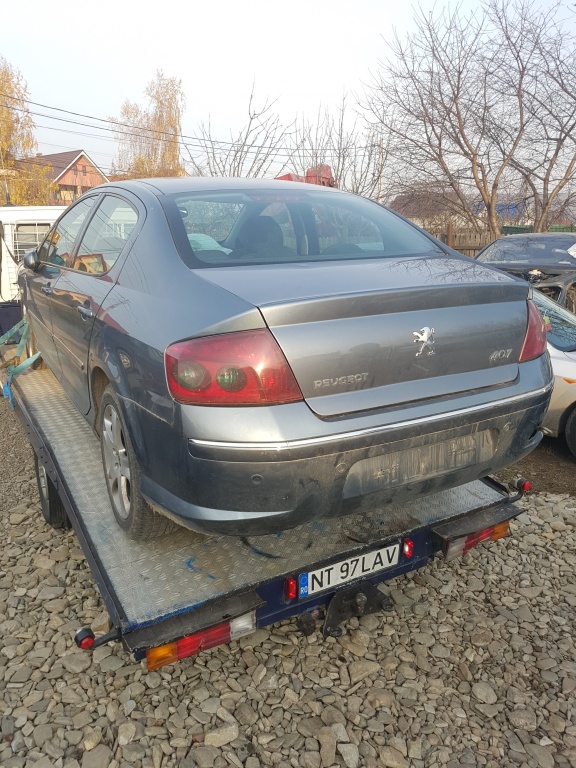 Butoane Peugeot 407 2.0 HDI RHR 136cp 2005-2006-2007