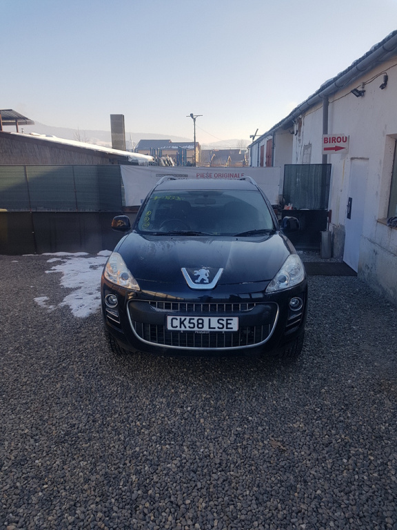 Buton avarie Peugeot 4007 2007 - 2012