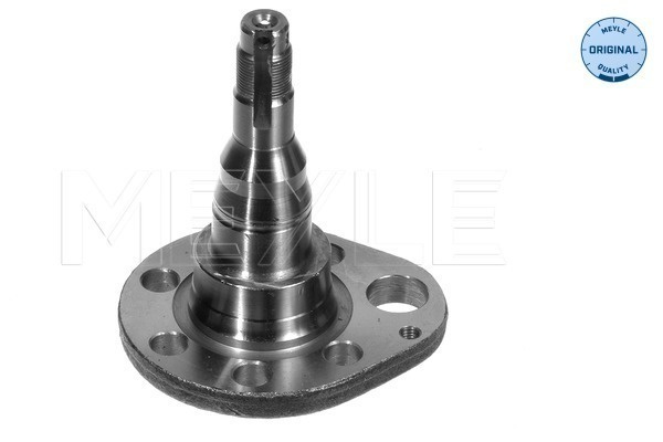 Butuc roata corp axa # Axa spate stanga Seat Arosa 1997 1998 1999 2000 2001 2002 2003 2004 # 100 501 0037 # MEYLE