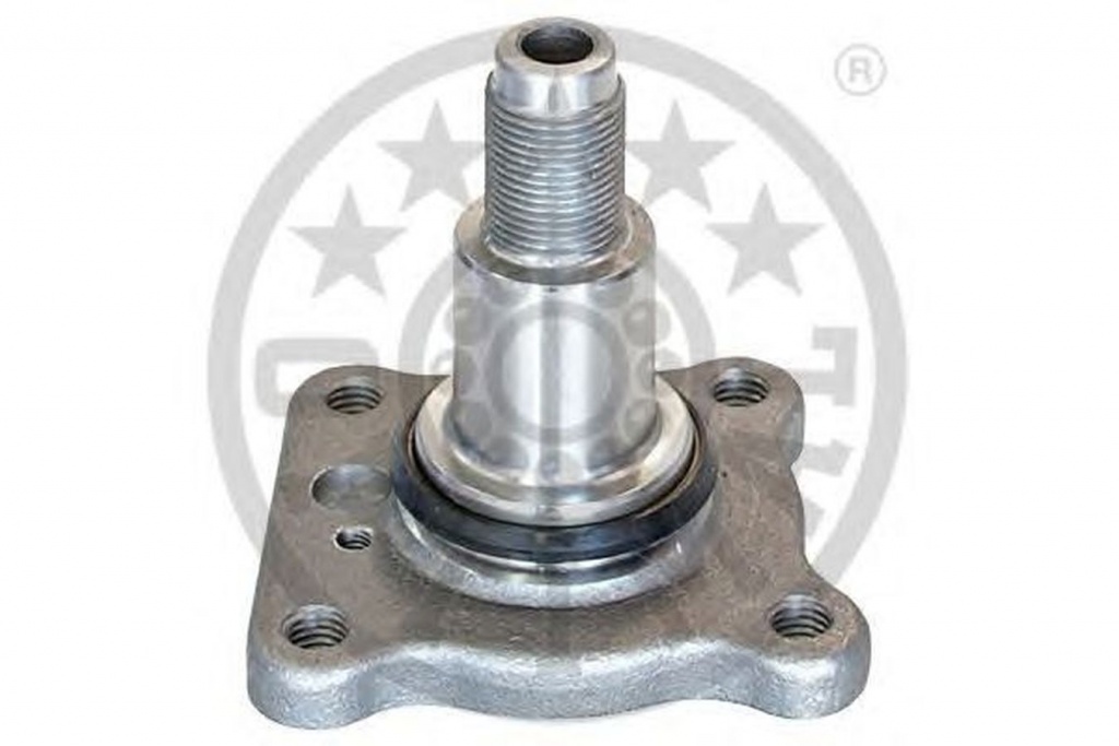 Butuc roata FORD FUSION JU OPTIMAL 04P369