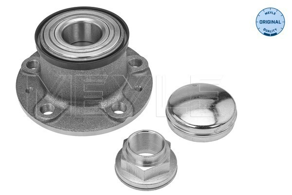 Butuc roata MEYLE 214 750 0005 pentru PEUGEOT BOXER platou / sasiu 2006-2023